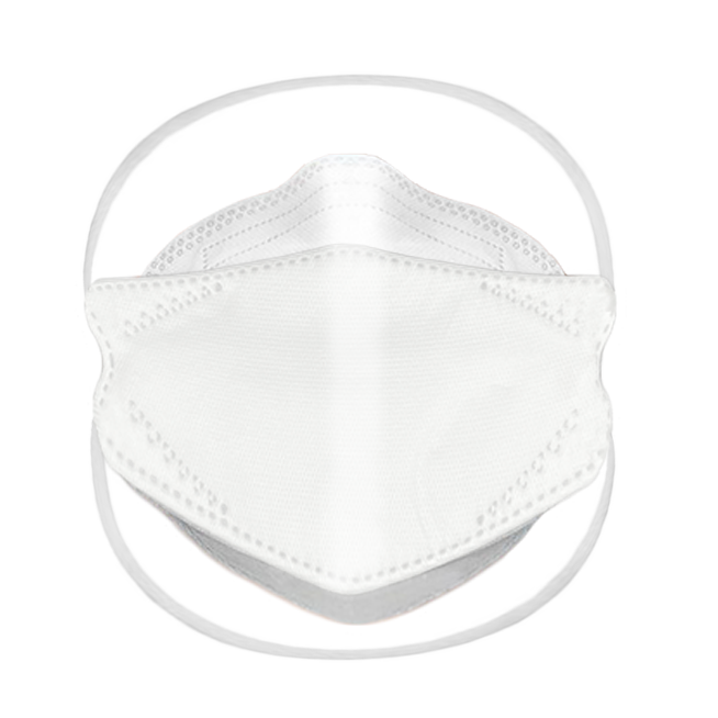 Dent-X FN-N95-510H Disposable Respirator in WHITE - BOX OF 10 MASKS - HEADSTRAP STYLE