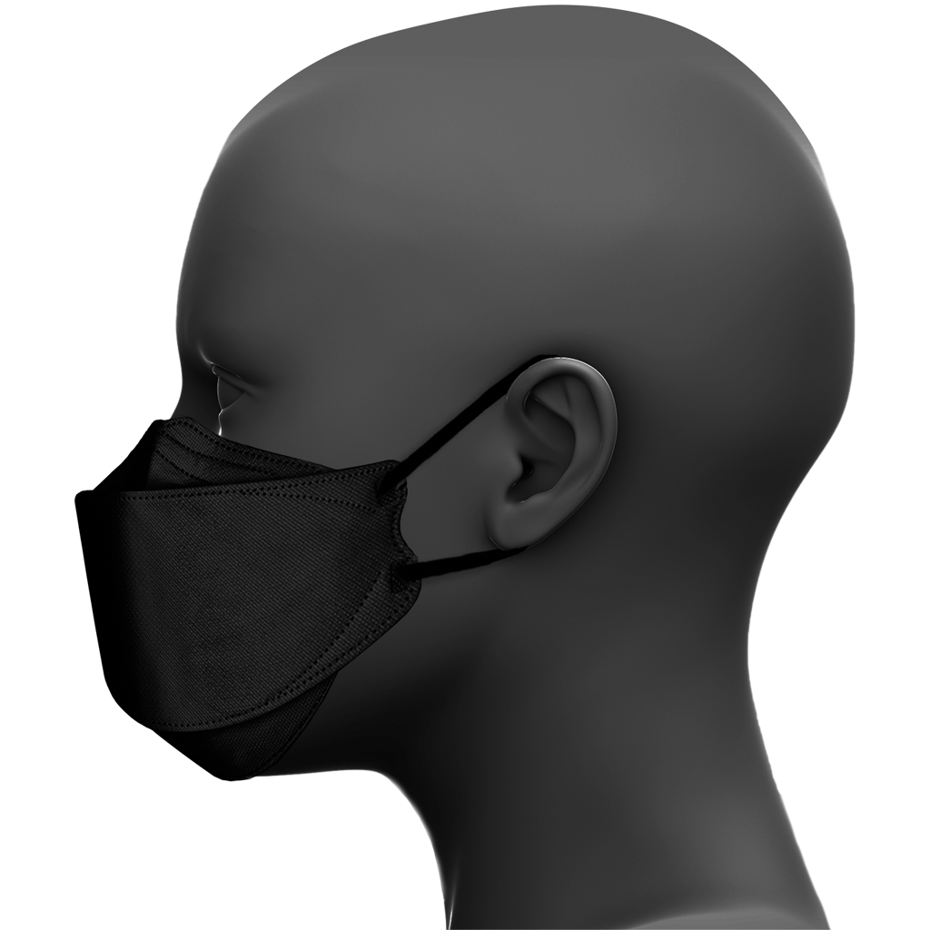 Black N95 Masks - Size Small (Dent-X Canada FN-N95-510 Small Model - Box of 10 Disposable Masks)