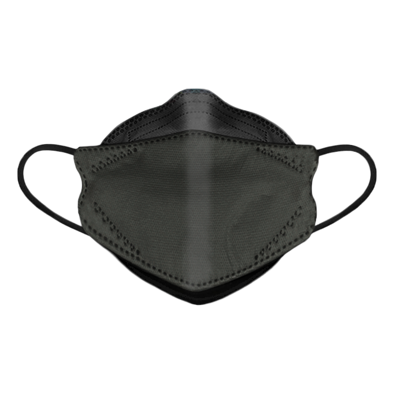 Dent-X FN-N95-510 Disposable Respirator in BLACK - BOX OF 10 MASKS