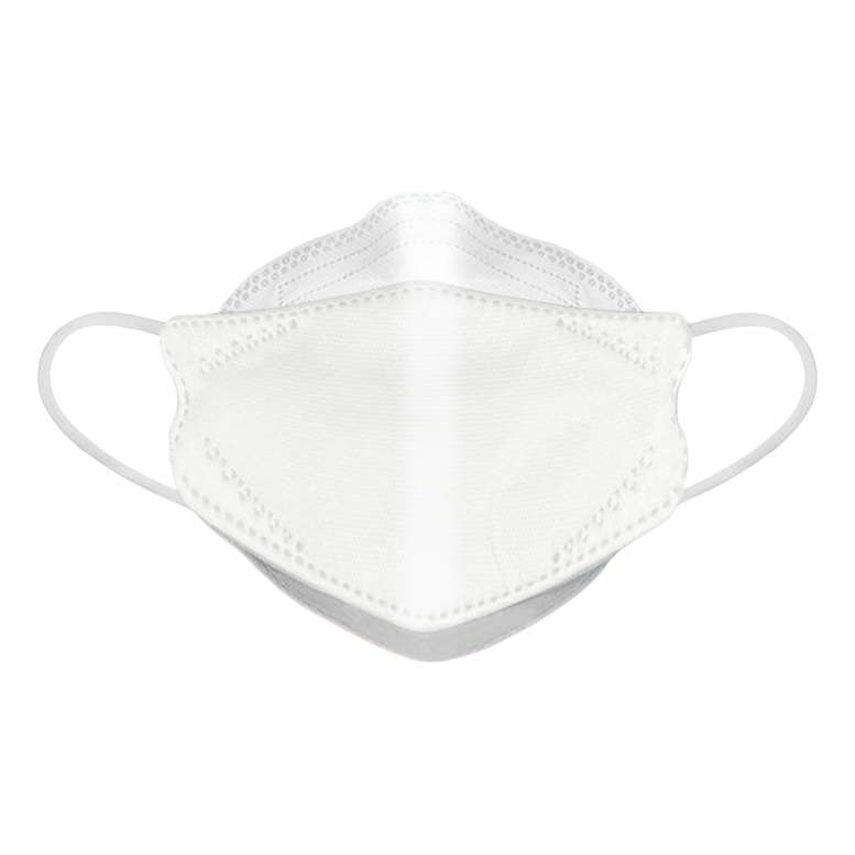 White N95 Masks - Size Small (Dent-X Canada FN-N95-510 Small Model - Box of 10 Disposable Masks)